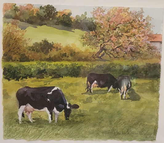 "Cows of Cherence"
