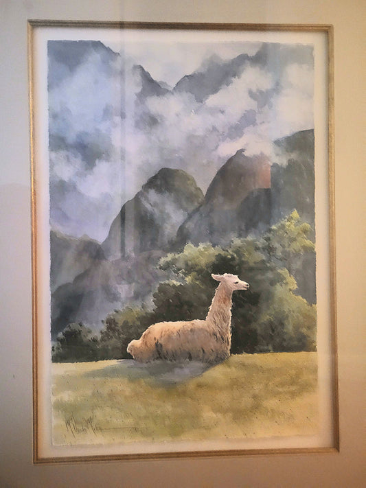 “Top of the Andes”