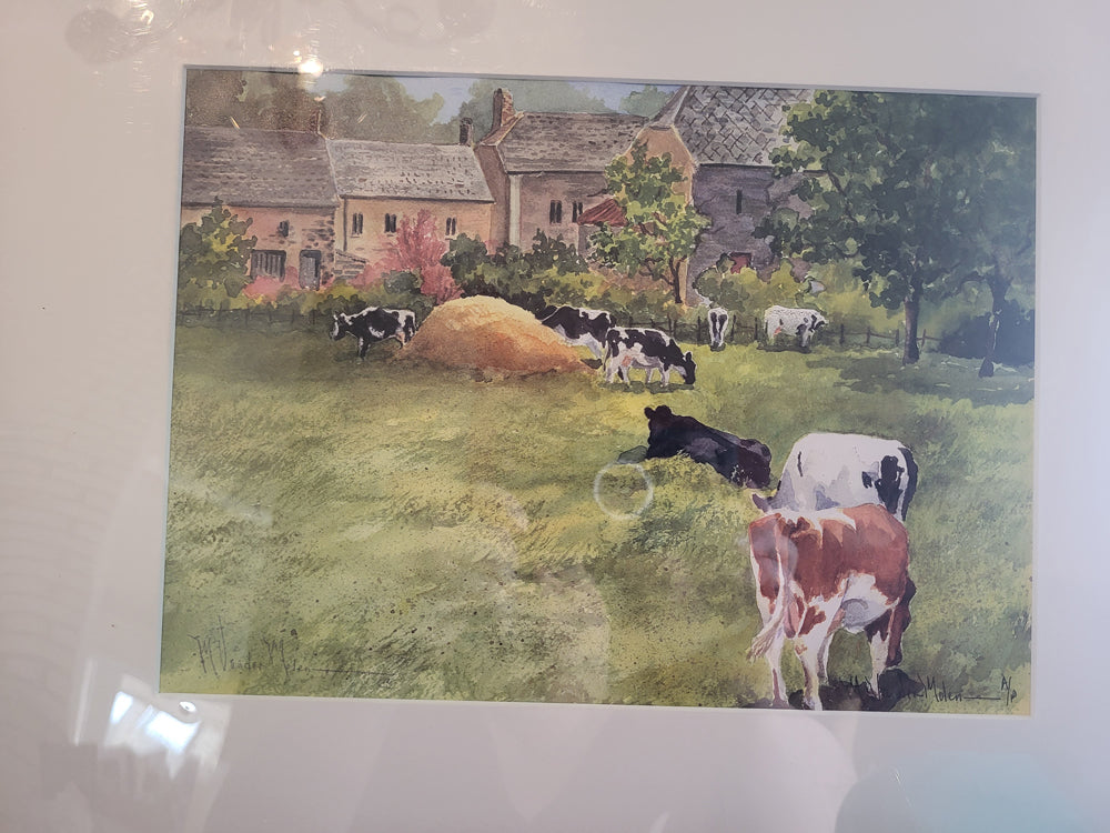 "French Cows"